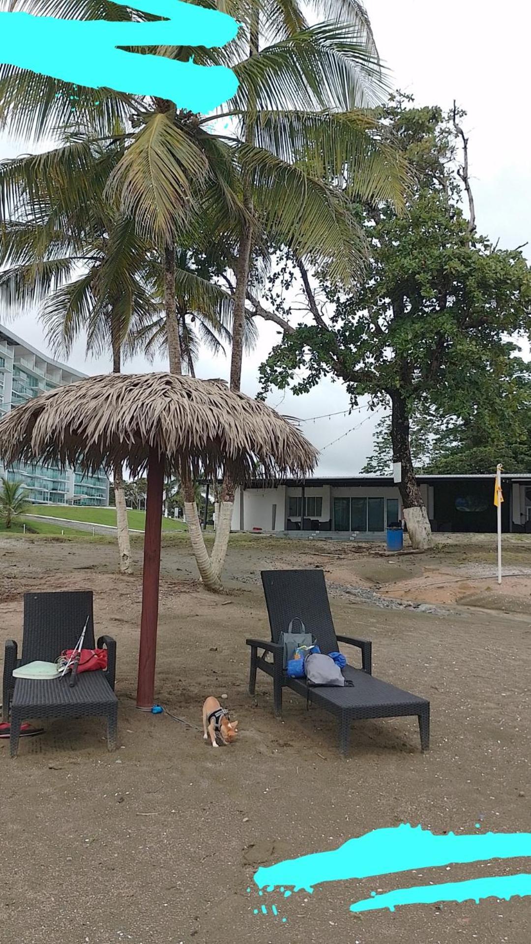 Apartamento En Balabeach Maria Chiquita In Front Of The Beach 2Hab Colón Zimmer foto
