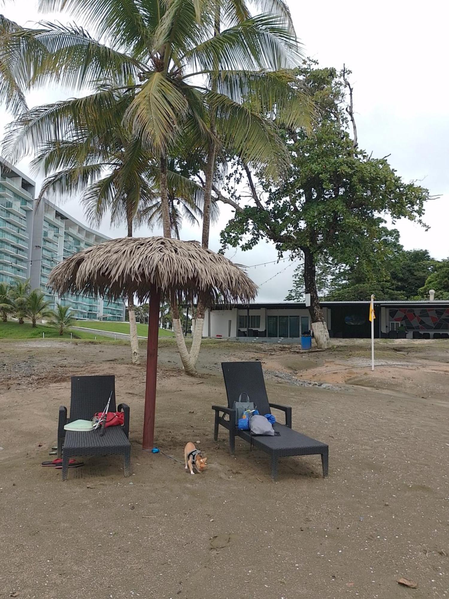 Apartamento En Balabeach Maria Chiquita In Front Of The Beach 2Hab Colón Zimmer foto