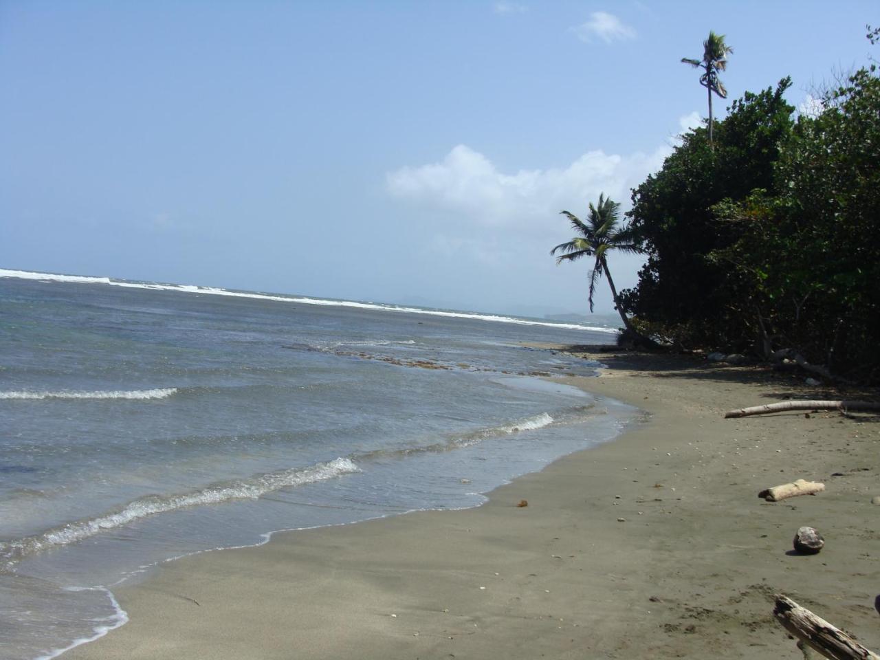 Apartamento En Balabeach Maria Chiquita In Front Of The Beach 2Hab Colón Exterior foto